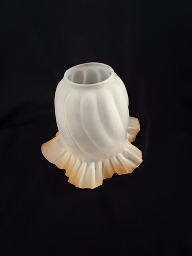 Sublime ancienne tulipe - , abat