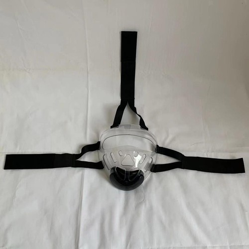 Masque taekwondo - de,