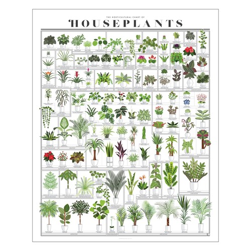 Pop chart horticultural - pop, |