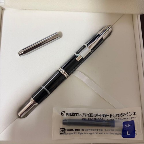 Stylo plume pilot capless 2018 - stylo,