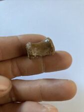 0,78'' / 2 Cm Rare Huge