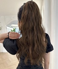 Postiche Queue De Cheval