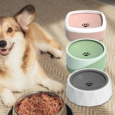 Distributeur d'eau automatique