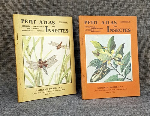 Editions boubée petit atlas - editions,