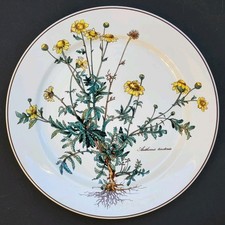 Sublime GRANDE ASSIETTE