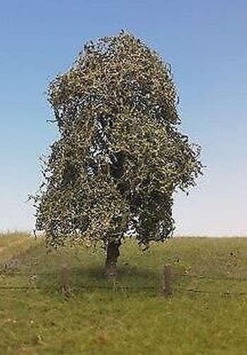 Silhouette 240 saule - 240-42,