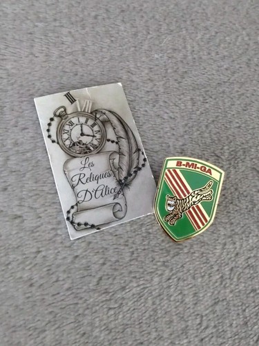 Pin insigne troupe - pin's,