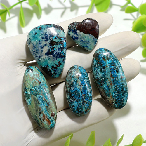 Conscious awakening lot de - conscious,