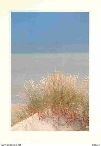 Carte postale bray - 59,