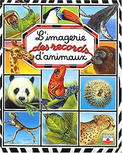 Imagerie des records - l'imagerie,
