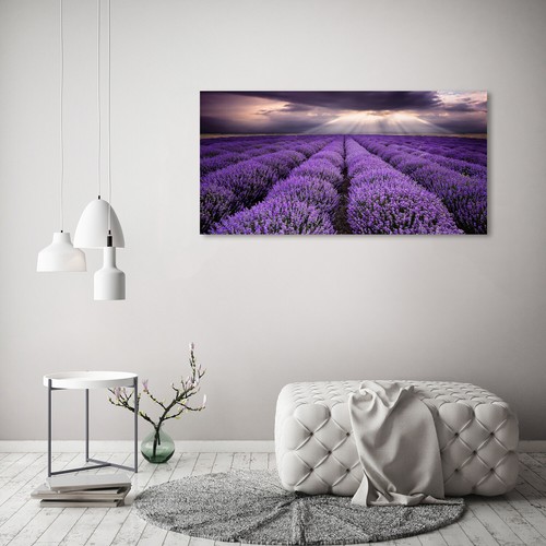 Tulup image sur toile - tulup,