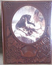 Le Far West : Les Colons  -