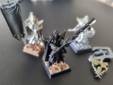 Warhammer Elfes Noirs Garde Noir 