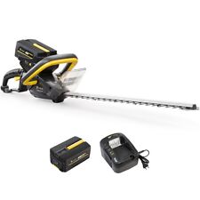 Taille-haies sans fil à batterie, 40 V, GT ELEC + batterie 2 Ah + chargeur