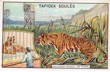 Chromos.AM16300.6x10 cm