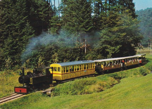 Cpsm petit train - le,