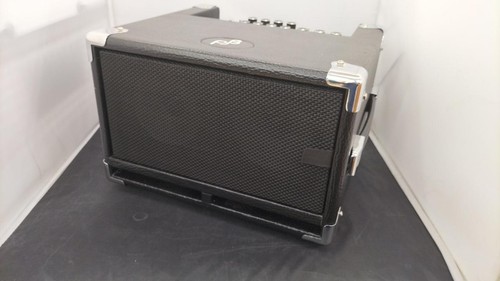 Phil jones bass 100 - phil, 10"