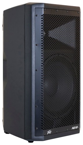 Peavey powered speaker - aq,