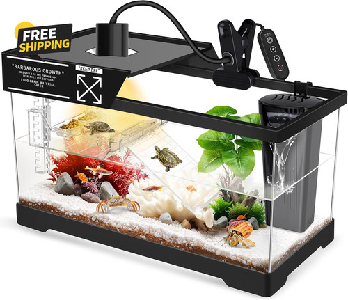 Turtle tank kit - turtle, filter
