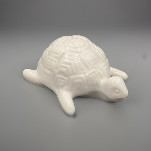 Tortue mer wagner - tortue, de