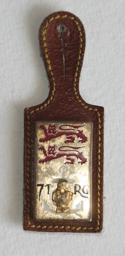 Insigne pucelle 71e régiment - pucelle,