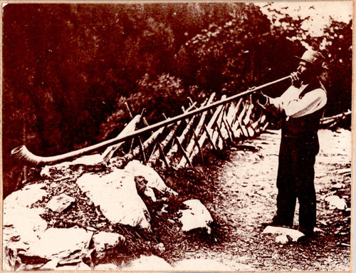 Joueur cor des - joueur, de