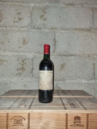 Cheval blanc 1985 - cheval,