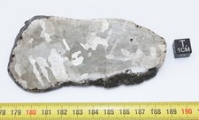 Tranche de Météorite Campo