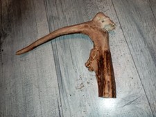 pommeau canne cerf corne 