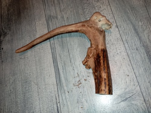 Deer horn cane - horn, knob