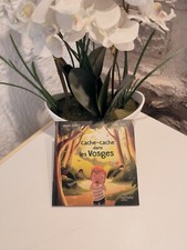 livre Cache-cache dans les