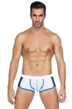 Mini boxer  Paris Hollywood