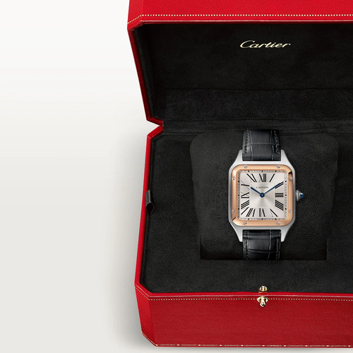 Cartier montre santos - montre, santos-dumont