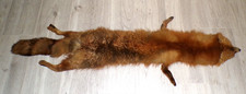 ancienne PEAU DE RENARD ROUX