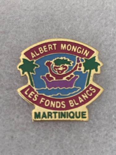 Pin albert mongin les - albert,