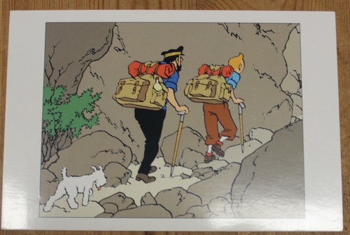 Carte postale tintin - carte,