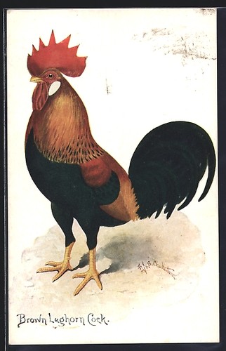 Carte postale artiste brown - d'artiste,