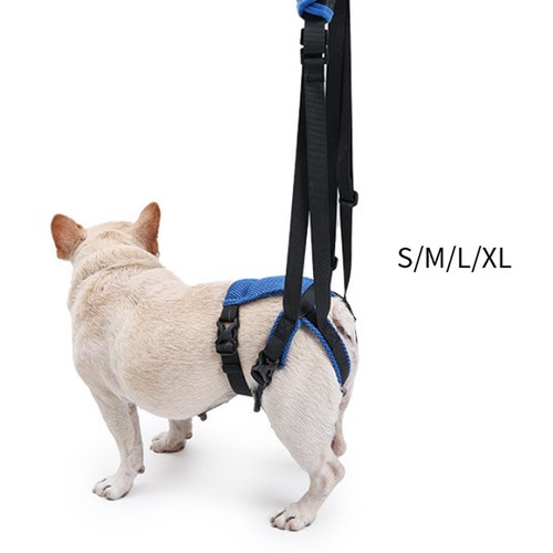 Harnais levage pour chien - de,