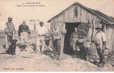 CHARENTE MARITIME  ILE D'OLERON  depart pour la peche aux huitres