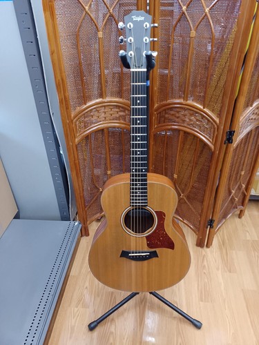 Guitare acoustique électrique