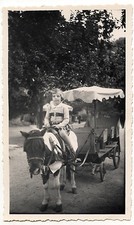 Petite fille sur poney avec carriole - photo ancienne amateur an. 1951