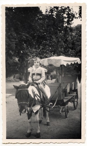 Petite fille sur poney avec