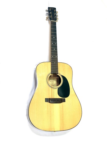 Recording king acoustic - king,