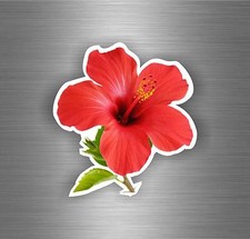 Autocollant sticker voiture