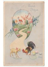 1952 A.Pays-Bas Pâques Agneau Coq Oeufs Paysage Myosotis Carte Postale Vintage