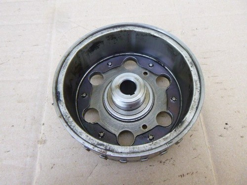 Rotor alternateur scooter - rotor,