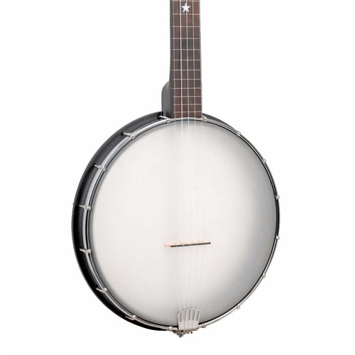 Gold tone 12fl acoustic - gold,