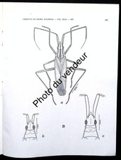 Entomology: 1957 A world