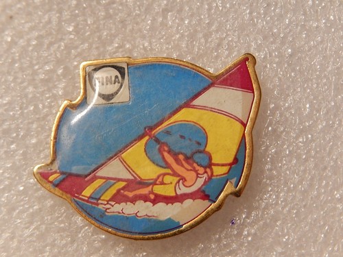 Pin fina - pin's,
