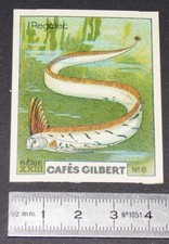 CHROMO 1936 CAFES GILBERT POISSONS MER FISH FISCH FISCHE REGALEC RUBAN POISSON